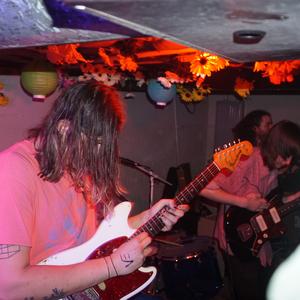 The Shivas
